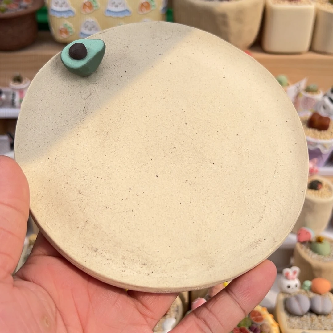 小***丝多肉植物实付9.9元包邮32号