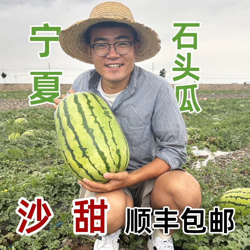 【顺丰包邮】宁夏沙漠硒砂瓜正宗石头瓜现摘牙子瓜中卫特色西瓜爆甜