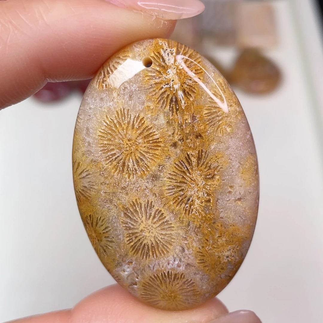 【闪购商品】未镶嵌吊坠(赠链)硅化玉