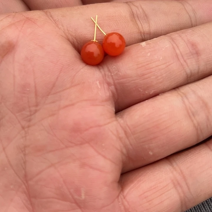 南红玛瑙18K金镶嵌耳饰