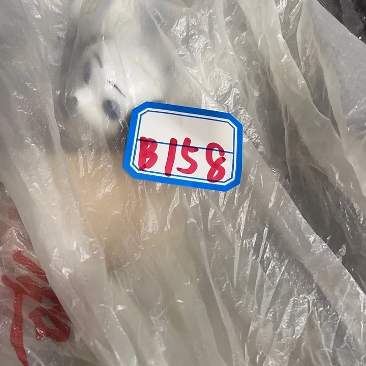 香榧木乘*民俗文化研究