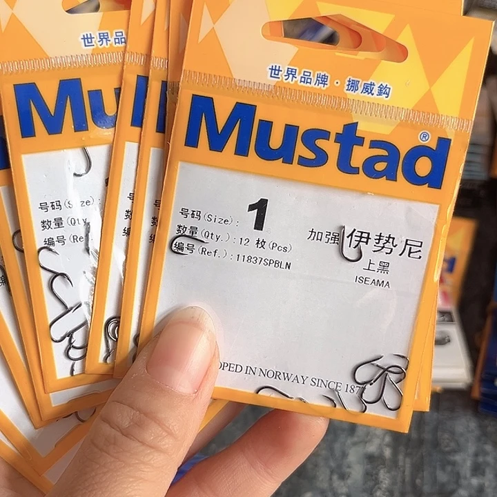 伊始尼1号有刺发10