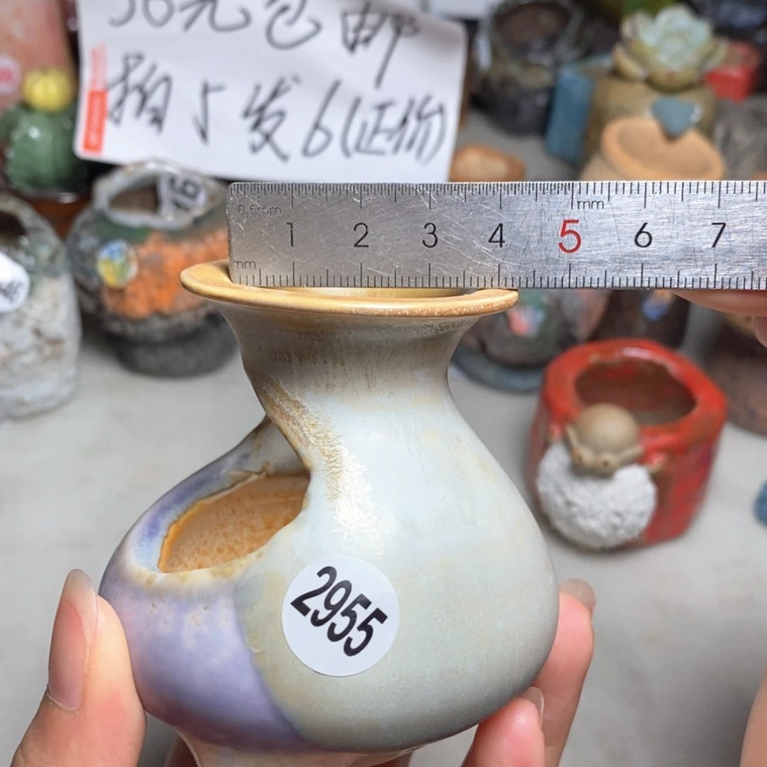 拍5送一个小礼物