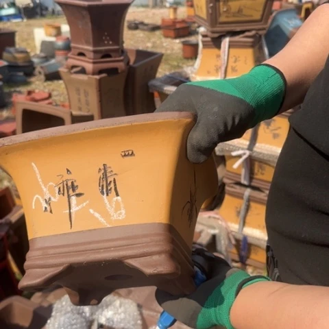 紫砂花盆紫砂花盆盆景盆栽