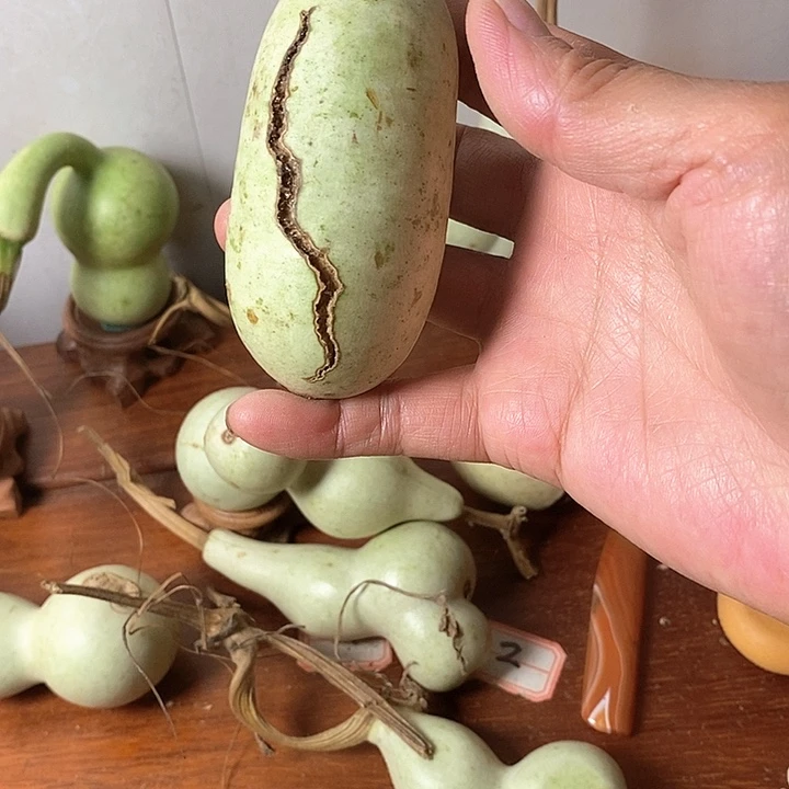 阿***哥青皮葫芦手把件本年