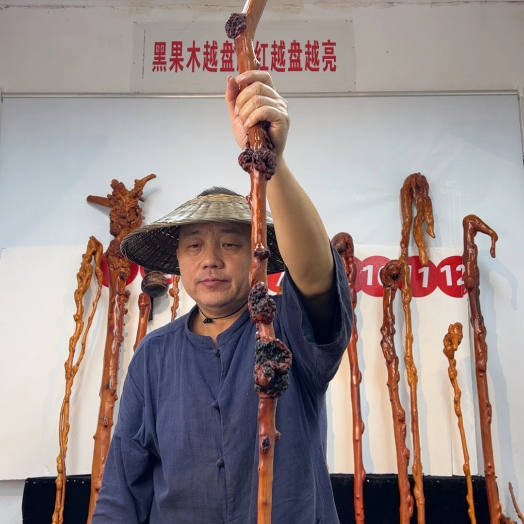 蓬***境黑果木其他黑果木542