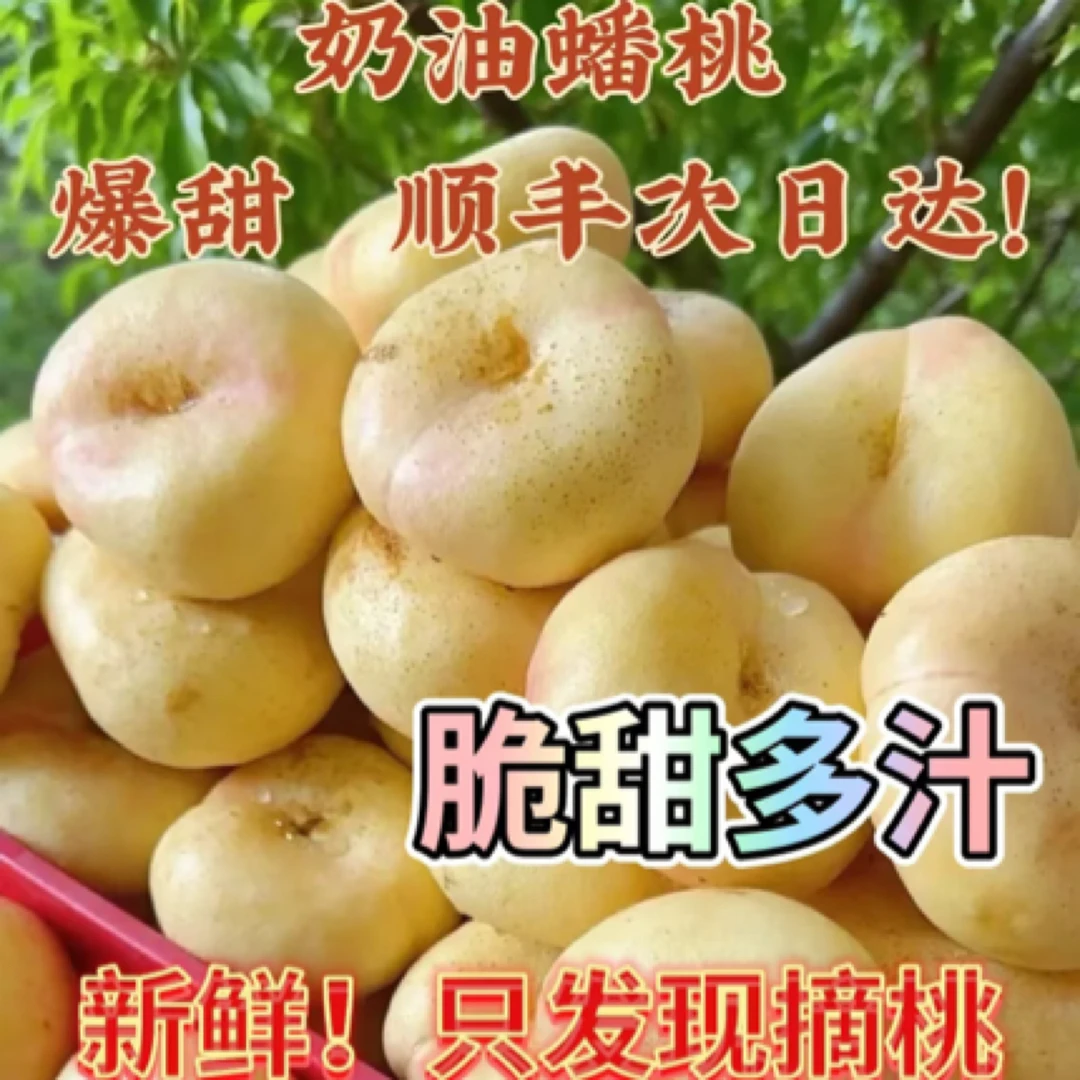 【顺丰包邮】蓟县本地纯正奶油蟠桃36-3桃子同城送天津市