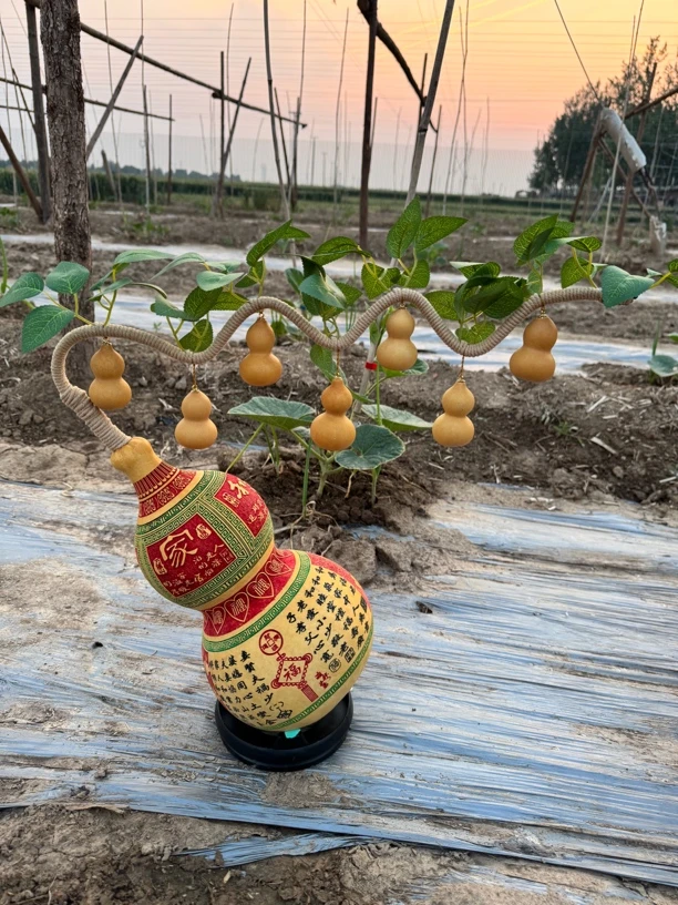 直播间选购,看清价格再拍七个葫芦娃摆件