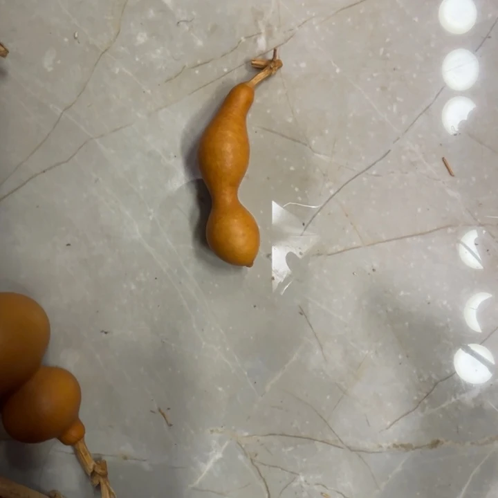 8****）蚂蚁花皮八三年的一把葫芦