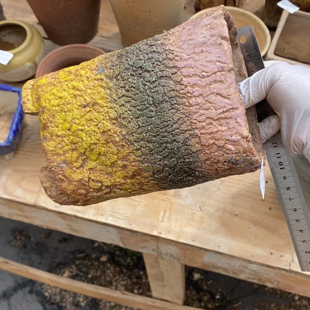 红陶往**烟28号多肉盆一个呀