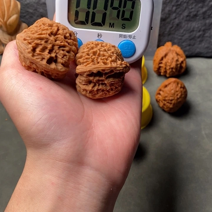 核桃等经济林果的食物