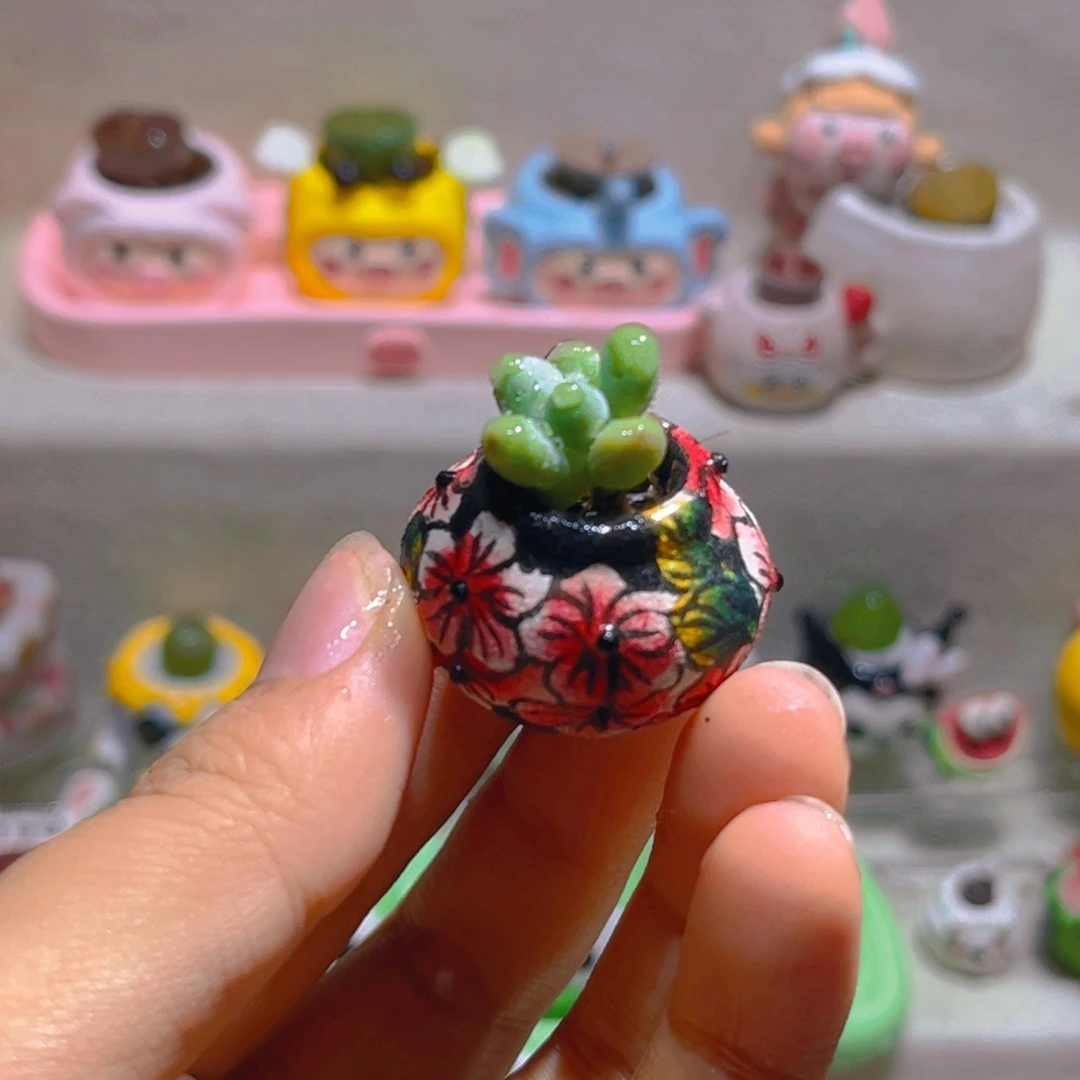 035高端多肉带盆土一套28