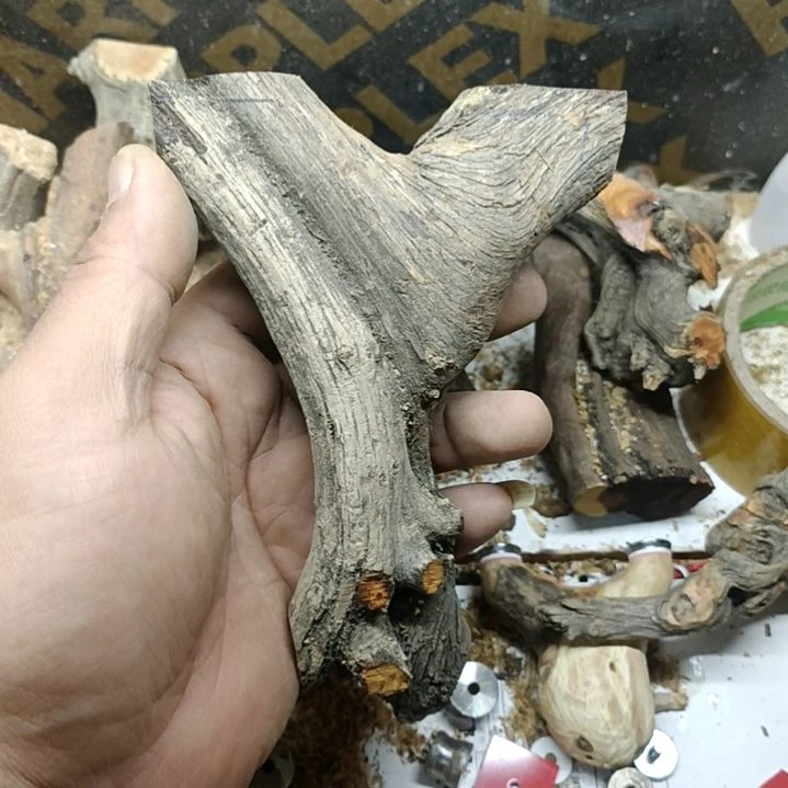 阳***柔大果紫檀(缅甸花梨)