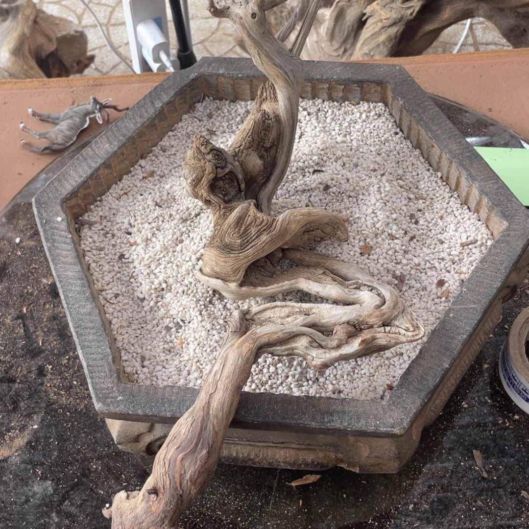 柏木点****出啊啊啊啊啊啊啊啊