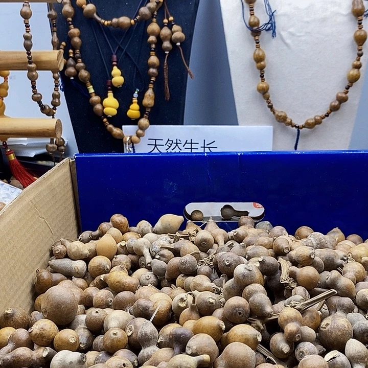 健**长葫芦葫芦葫芦葫芦