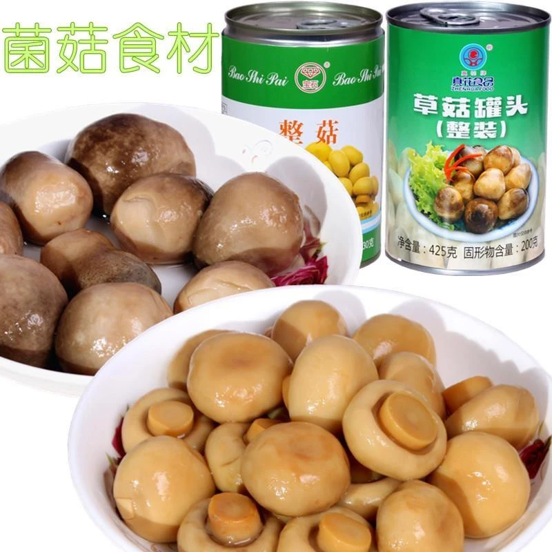 出口蘑菇草菇罐头食用菌罐装蔬菜炒菜煲汤烹饪食材克罐