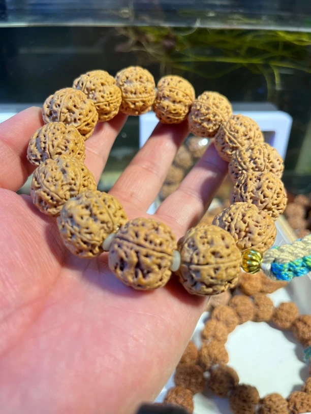 尼泊尔深清原皮精选梅花峰王