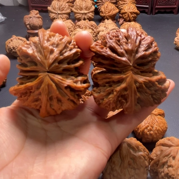 野牛连体52尺寸核桃哈哈哈哈哈哈