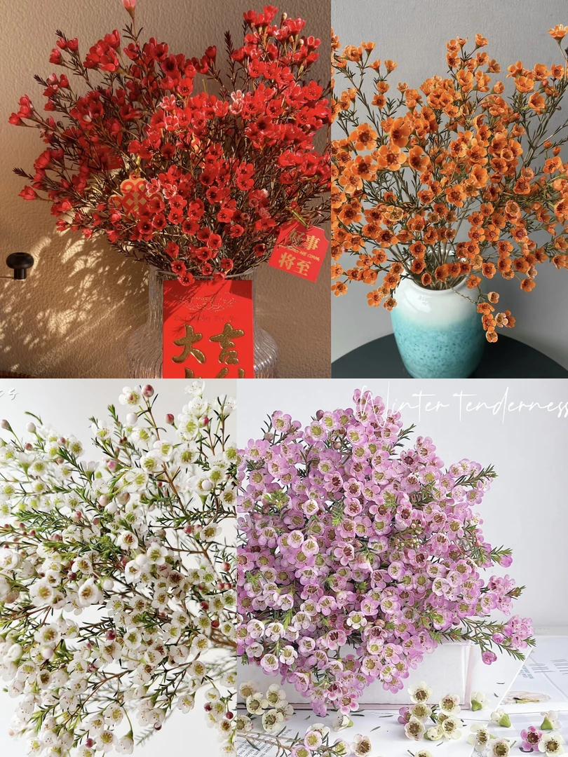 【腊梅1扎】1单中通包邮2单升级顺丰冷链-云南鲜花