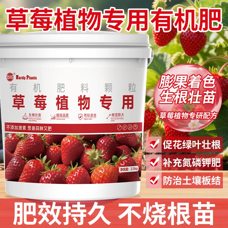 草莓专用肥家用农用盆栽通用有机肥料果蔬花卉专用缓释颗粒水溶肥