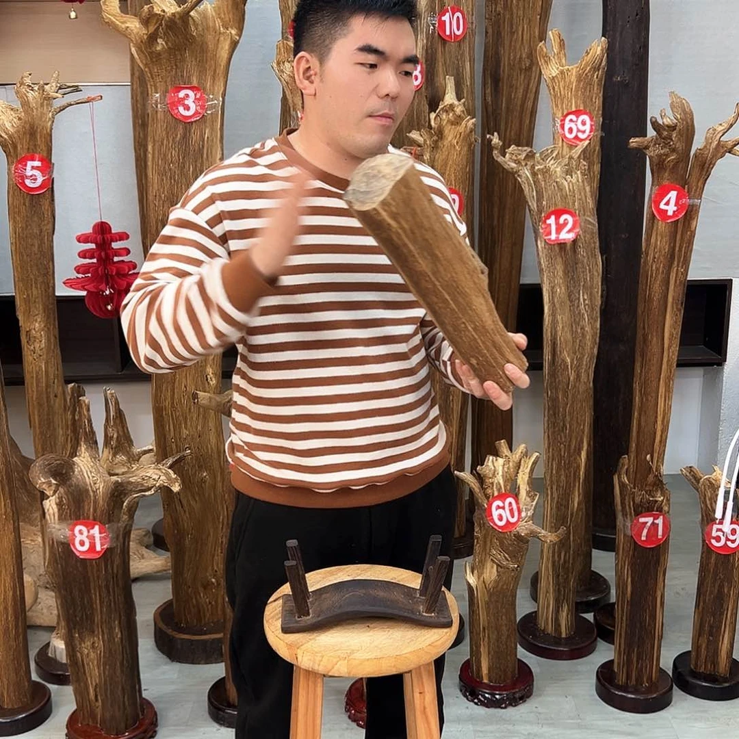 沉香摆件海南沉香沉香