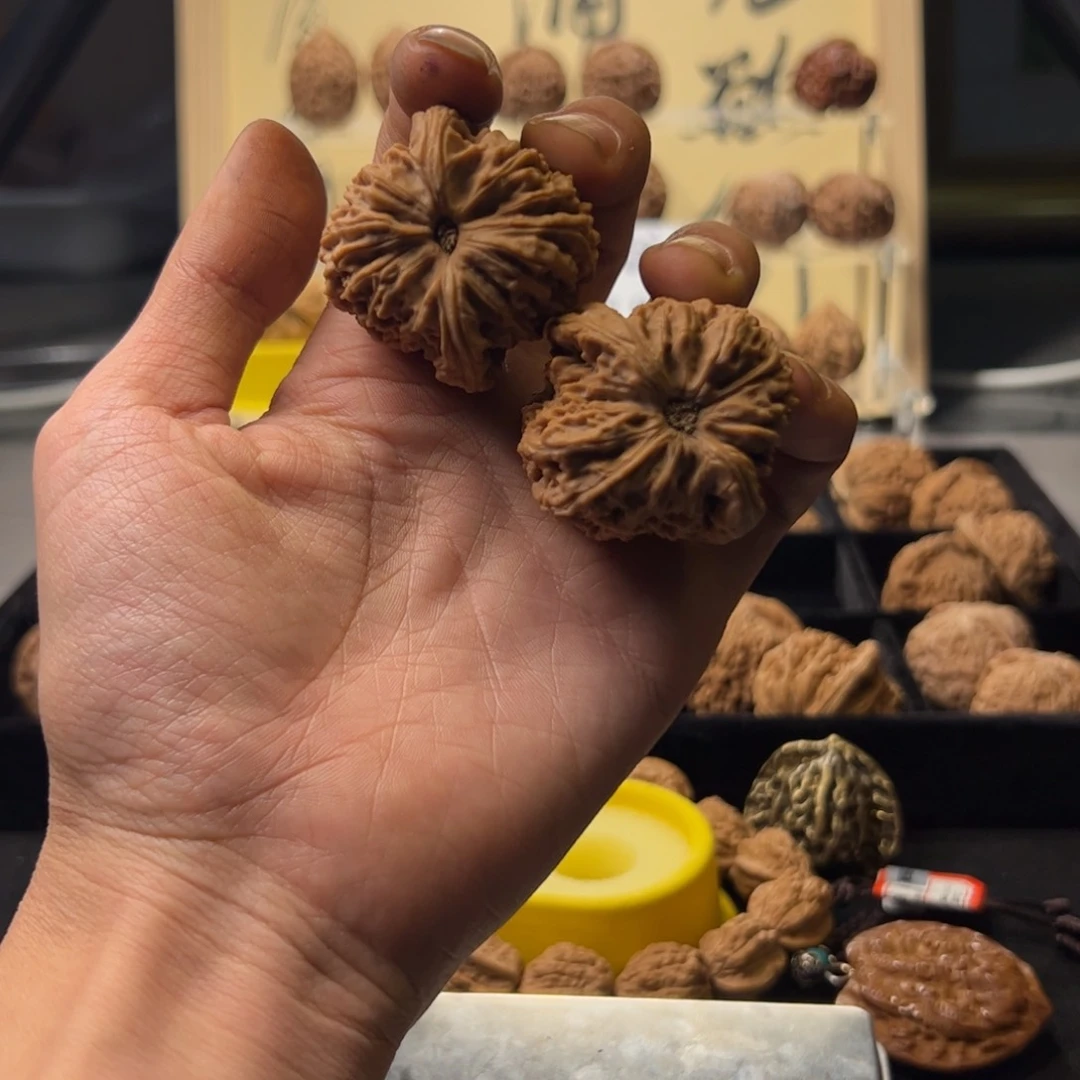 帅*毛文玩核桃文玩手串