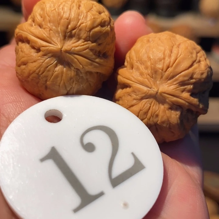 木质类水晶蛇皮球29尺寸