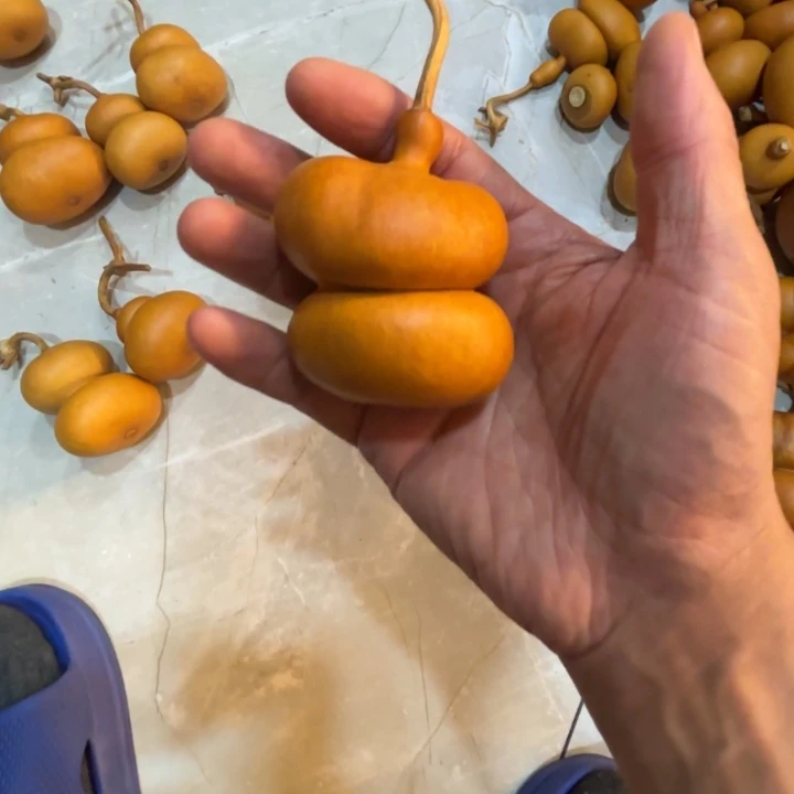 小***?小酒满满的一把钱袋子葫芦