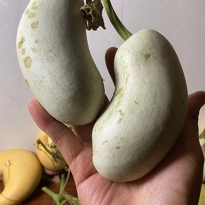 雾***i青皮腰子葫芦手把件葫芦