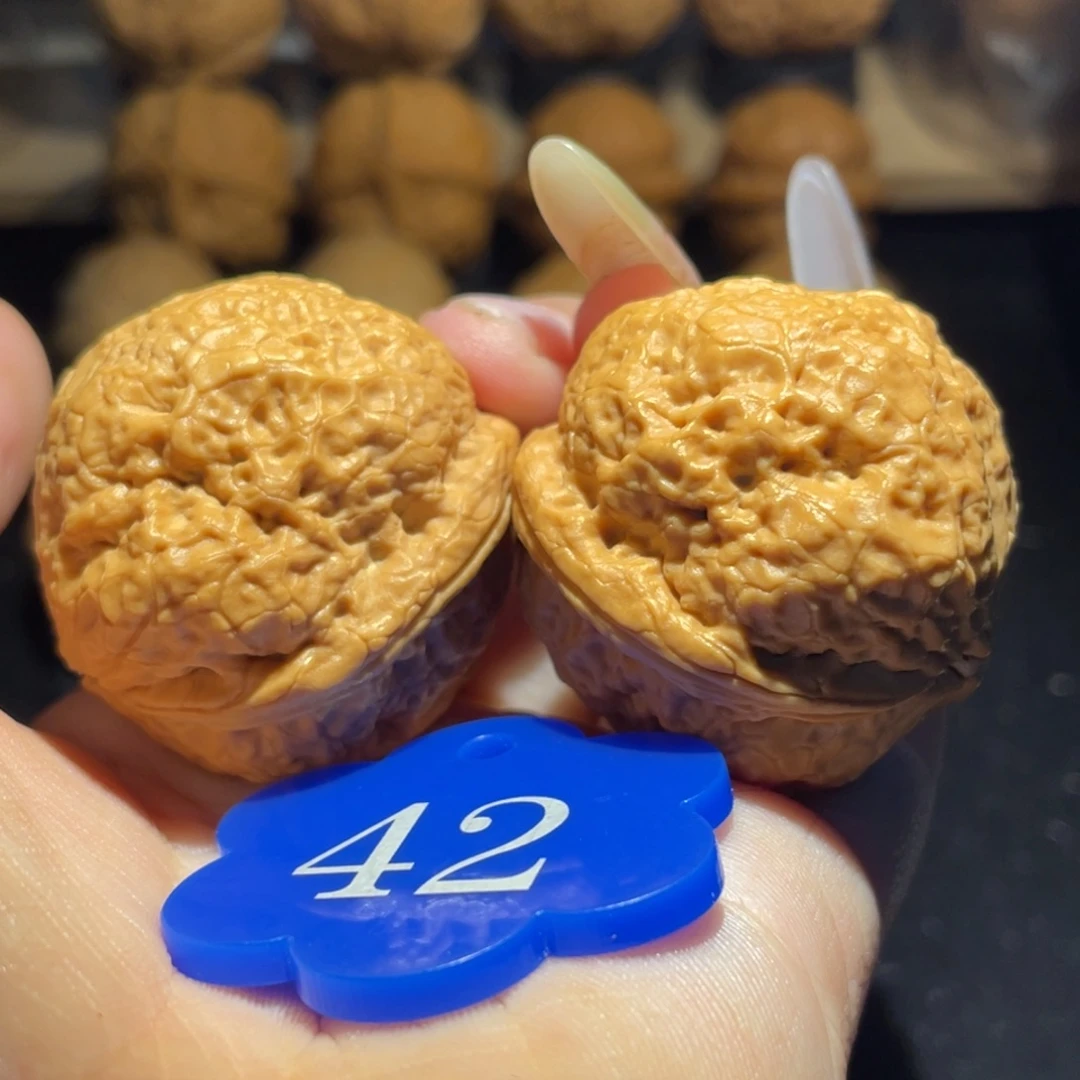 帝王蟾39尺寸核桃