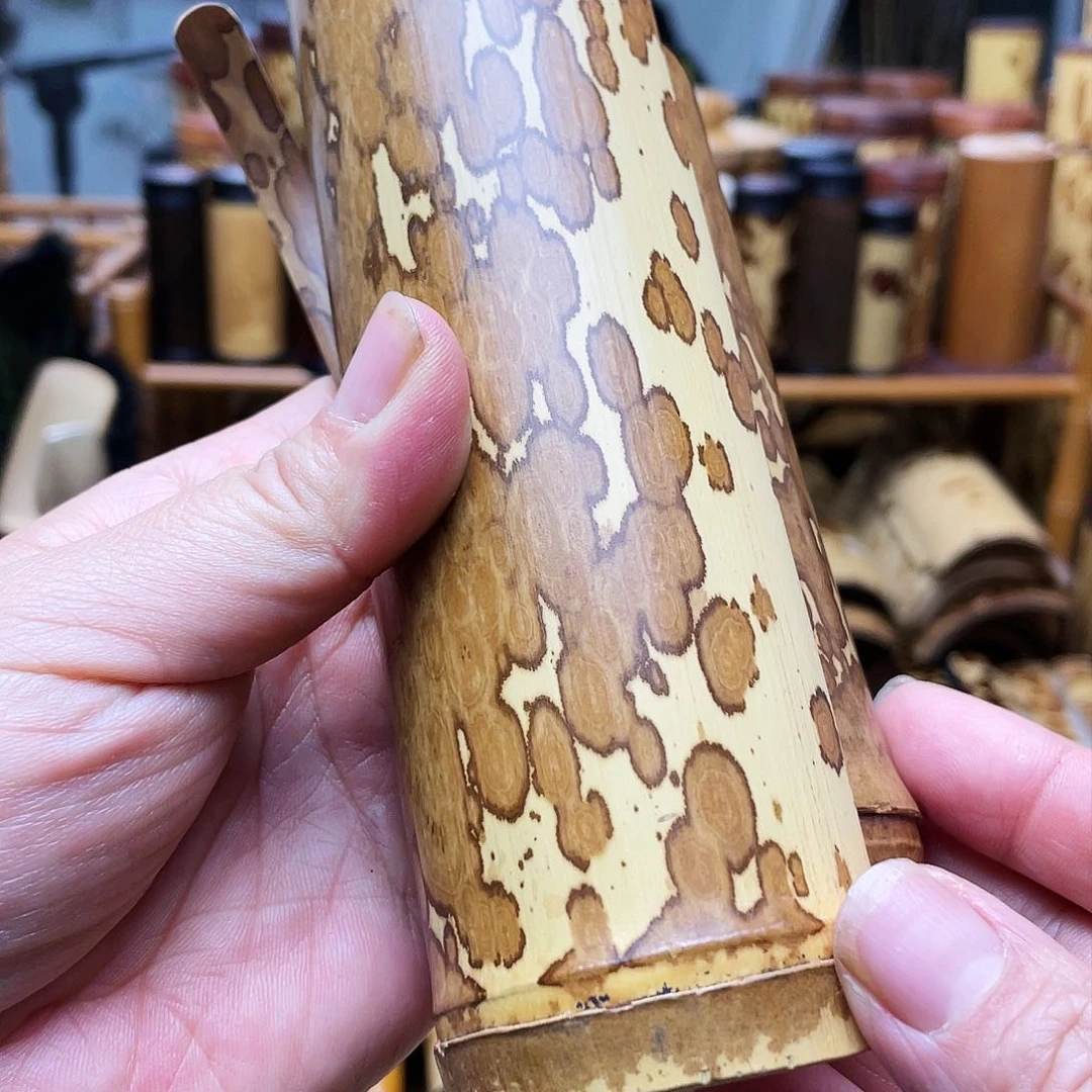 C****a老梅妃竹茶则拍两个