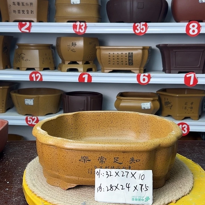 花盆紫砂你在一起