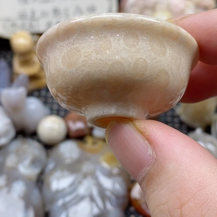 颈饰未镶嵌硅化珊瑚（珊瑚玉）