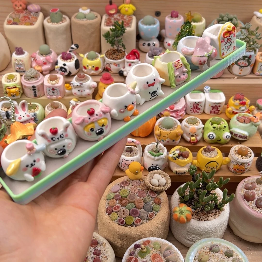 多肉拇指盆25元一个