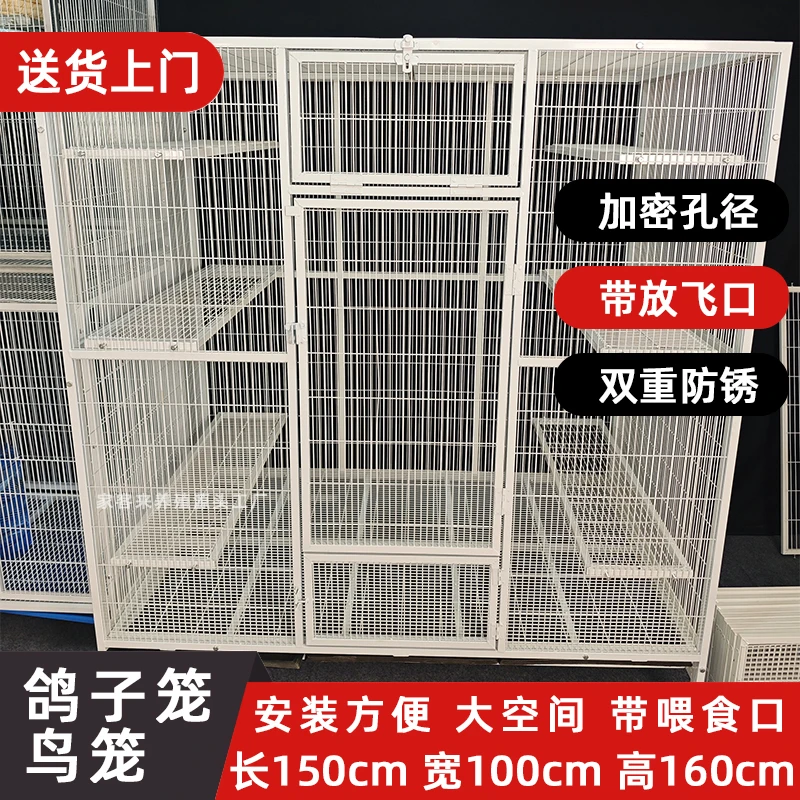 大型鸽棚鸽子笼养殖棚养殖笼鸡鸽兔笼加密孔防腐防生锈