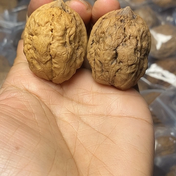 把件文玩核桃云南铁核桃49