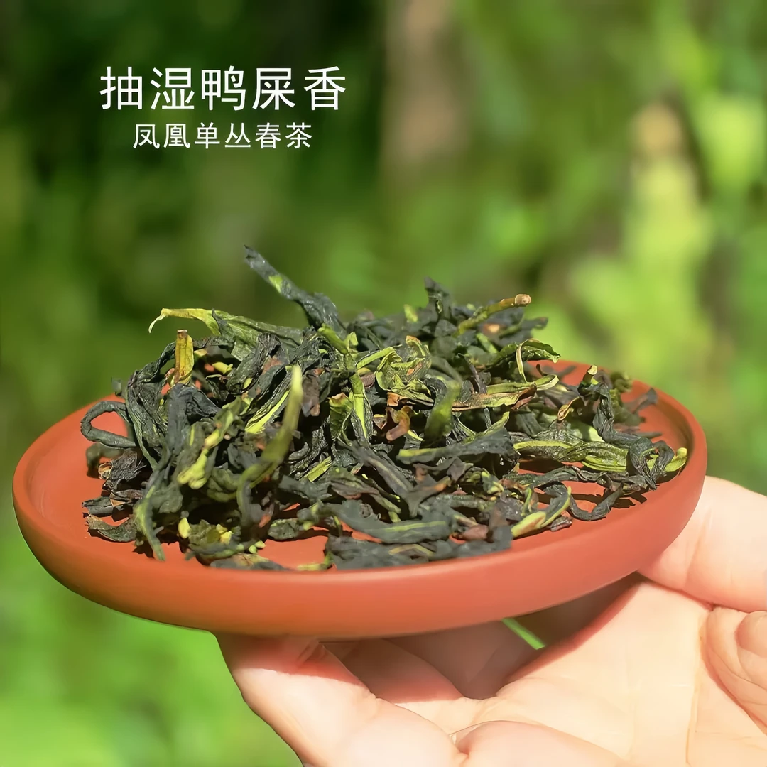 正宗凤凰单丛茶抽湿鸭屎香高香清香雪片潮州原产绿雪片鸭屎香