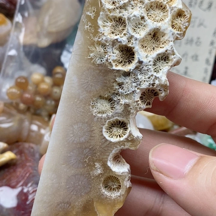 硅化珊瑚（珊瑚玉）未镶嵌颈饰