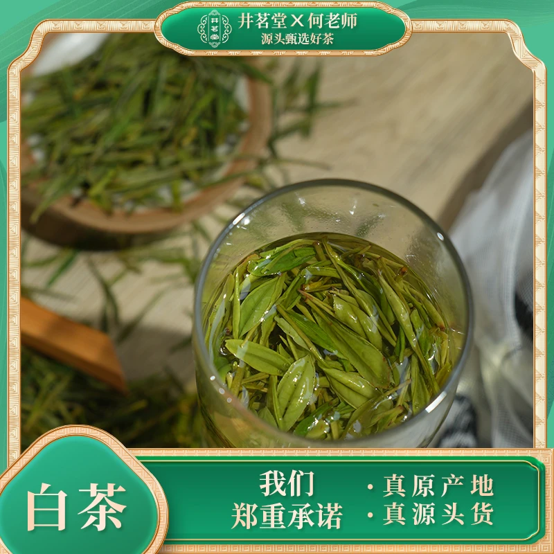 【井茗堂】白茶T300一级春茶新茶鲜甜爽口芽叶兰香