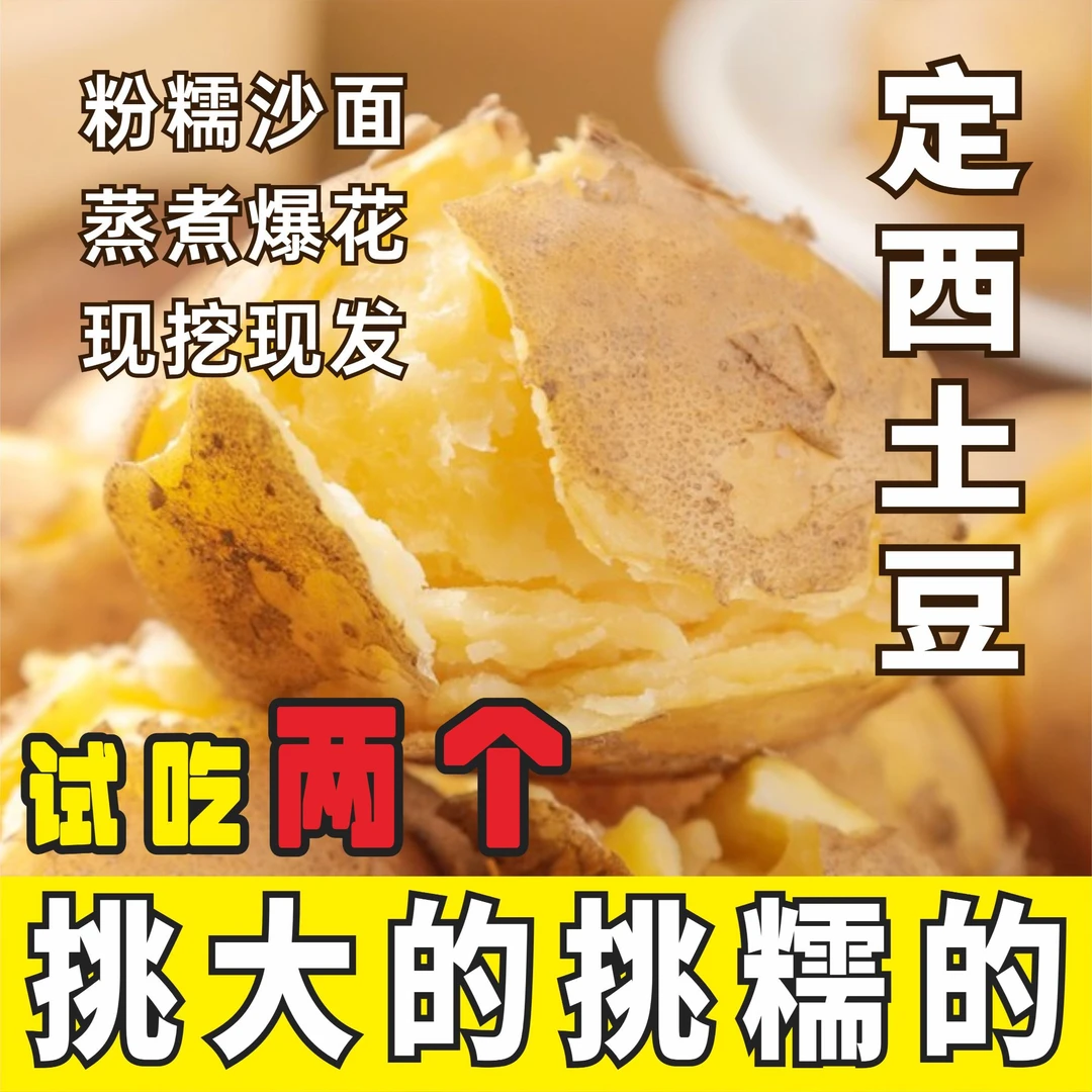 【土豆哥试吃两个】定西土豆现挖现发粉糯沙黄皮黄心土豆洋芋马铃薯