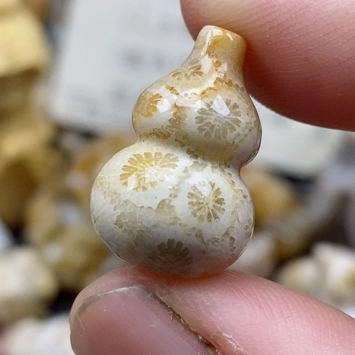 颈饰未镶嵌硅化珊瑚（珊瑚玉）没打孔 小