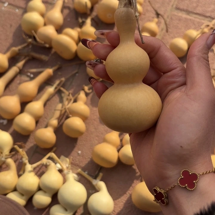 常***挠八宝葫芦八宝葫芦