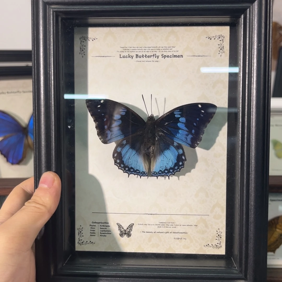 横款绿宝石非洲蝶