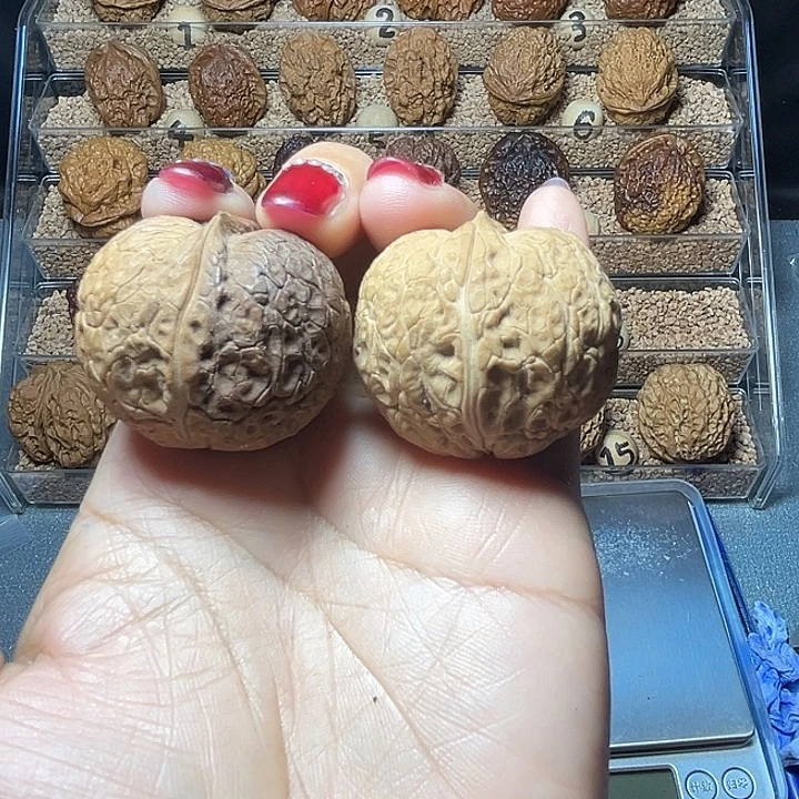 汪***旺文玩核桃把件闷筋元宝37尺