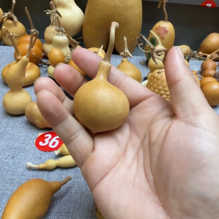 木***土葫芦等多种颜色可选哦宝宝们可以试