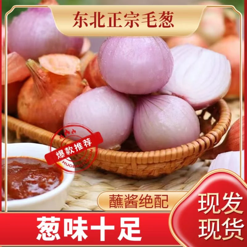 正宗东北毛葱生吃农家种植可炸葱油洋葱调味的笨毛葱头东北小毛葱