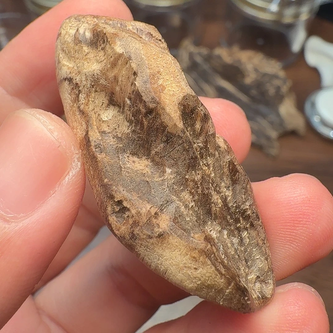 沉香野沉随形牌子