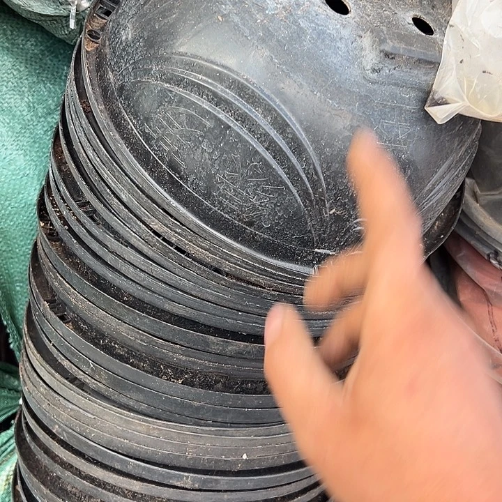 吊兰盆口径27高12发16个