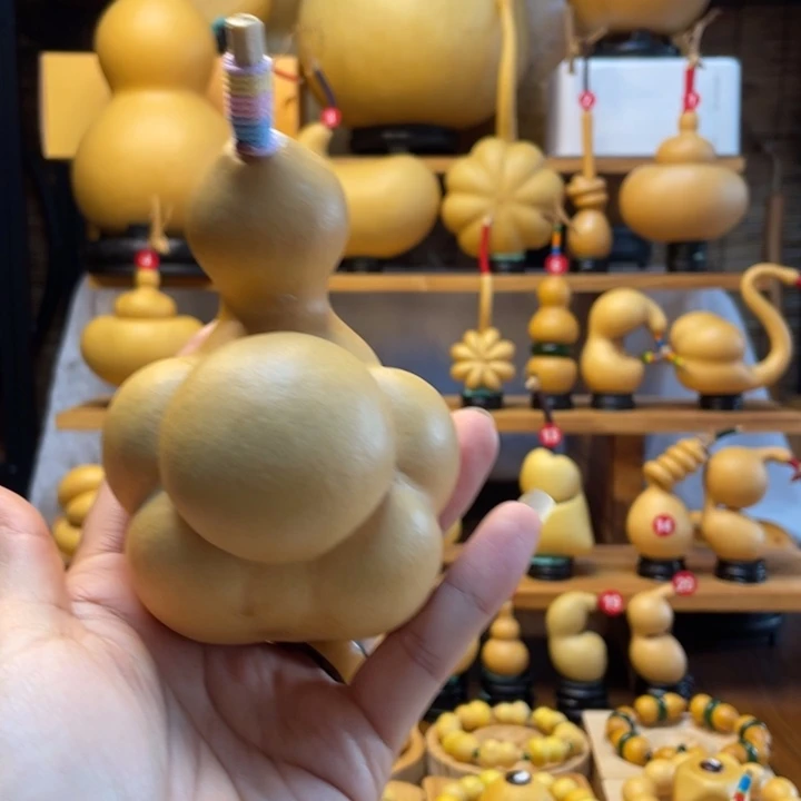 6***6天然葫芦自然生长