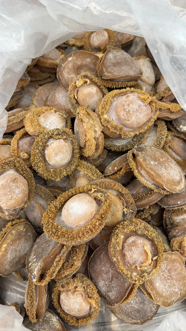 鲍鱼干10头 厚肉 粗边 好吃